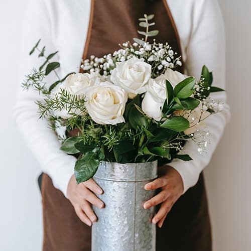 consejos para cuidar flores eternas